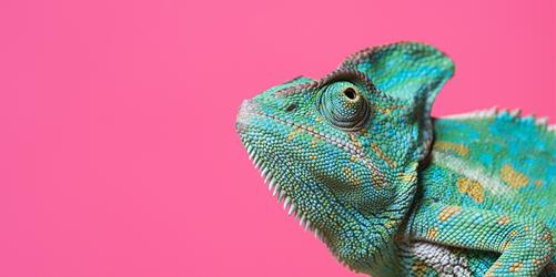 chameleon, adapt, adaptive, adaptive UX