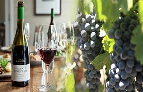 grape to glass, wine, de bortoli wines, de bortoli, customer success, grapes, glasses