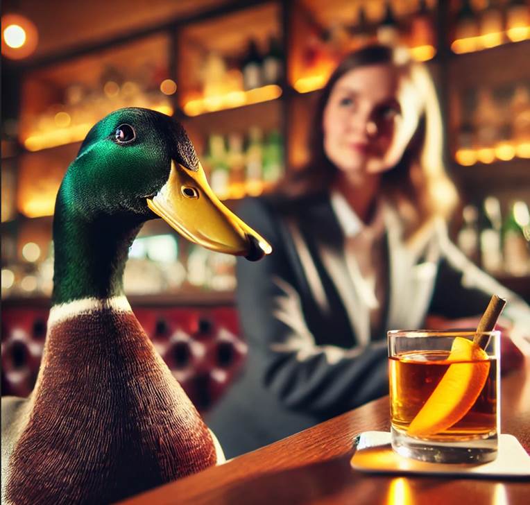 Pragmatic AI, Duck, Bar